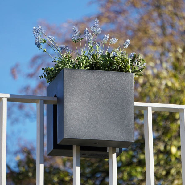 Planzengefäß für Balkon Würfel | Steckling Cube